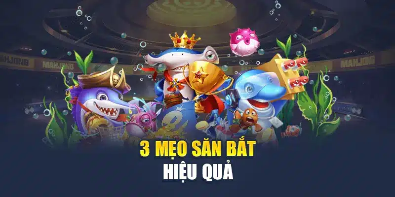 3 mẹo săn bắt hiệu quả