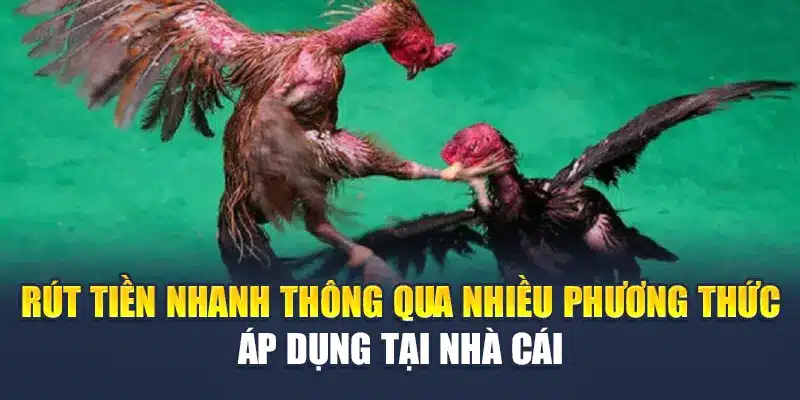 Rút tiền nhanh thông qua nhiều phương thức áp dụng tại nhà cái
